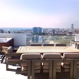 پنت هاوس در پروژه ریورساید