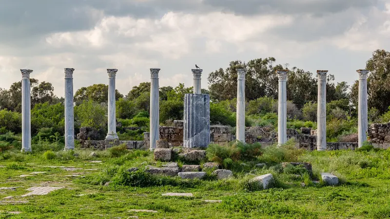 سالامیس